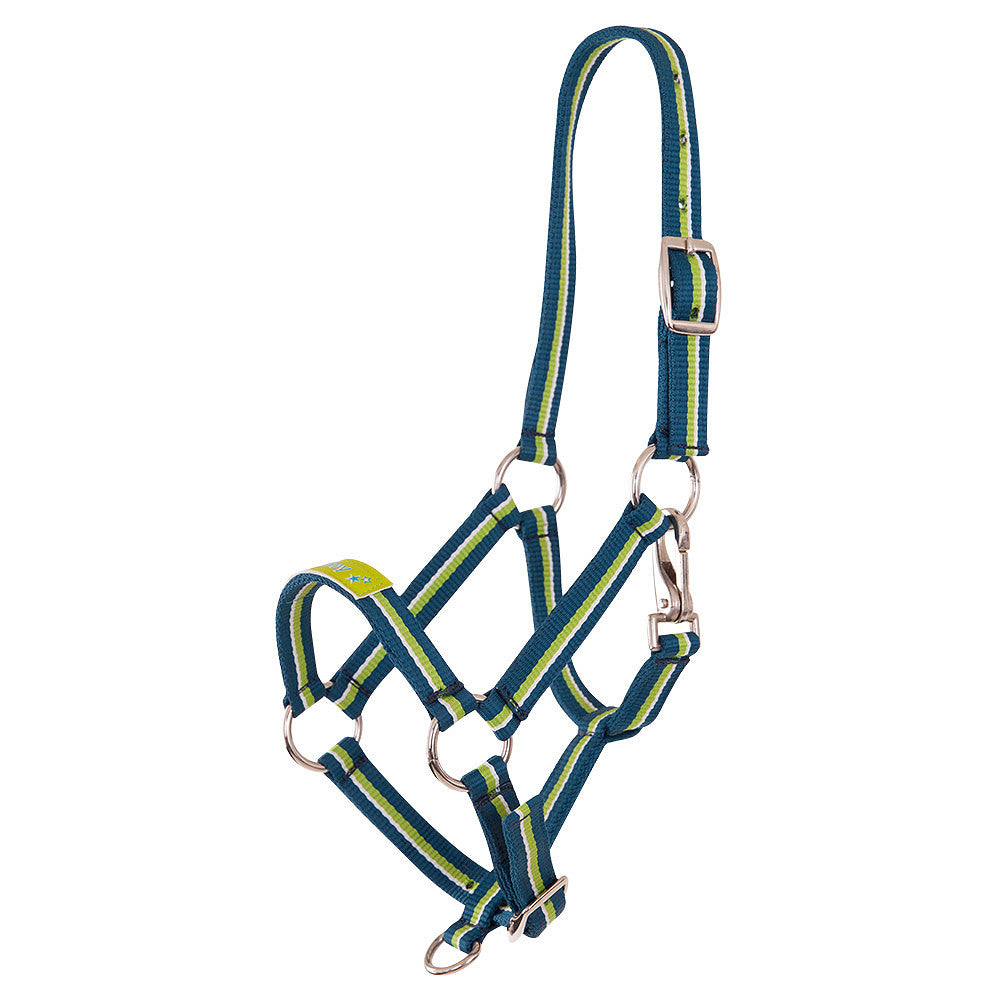 Kantar Premier Fun - Cavalo